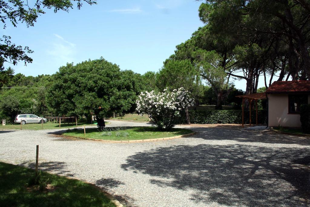 Villa Bolgherello Marina Di Bibbona Esterno foto