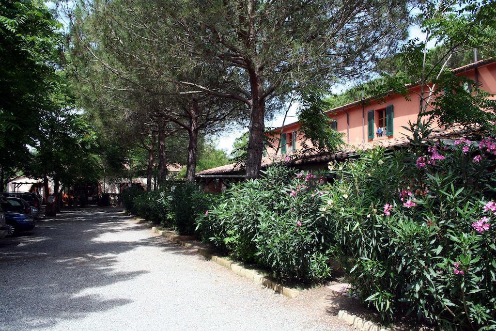 Villa Bolgherello Marina Di Bibbona Esterno foto